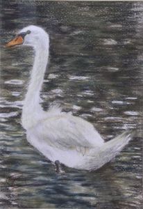 Voir le détail de cette oeuvre: The swan